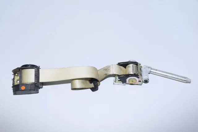 Rear Left Seatbelt
