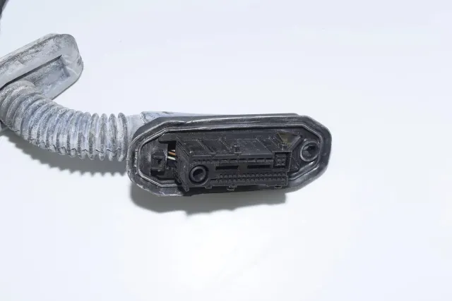 Rear Left Door Wiring