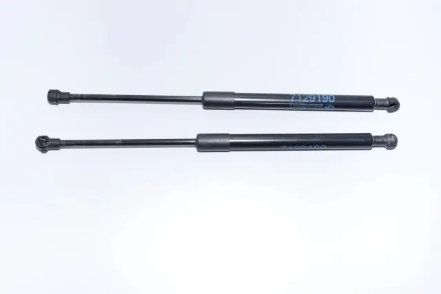 Front Left Bonnet Strut