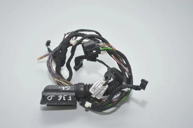 Rear Right Door Wiring