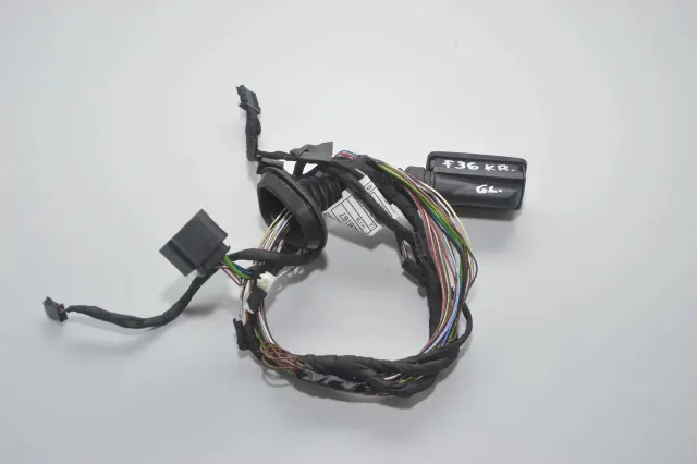 Rear Left Door Wiring