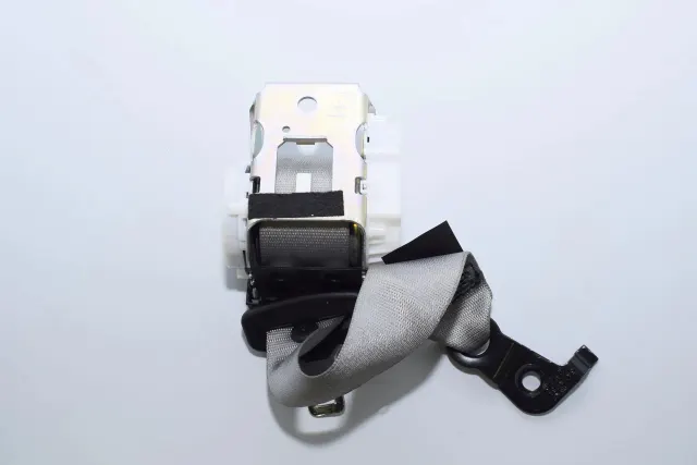 Rear Left Seatbelt