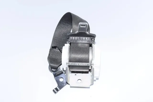 Rear Left Seatbelt