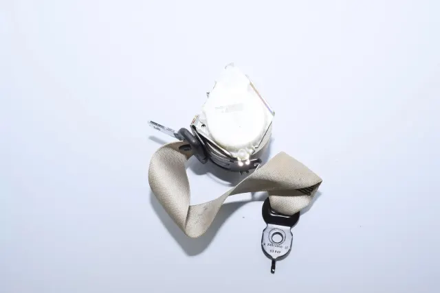 Rear Middle Seatbelt
