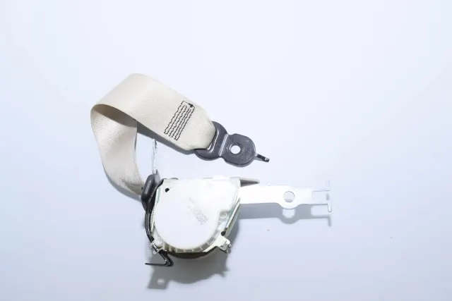Rear Left Seatbelt