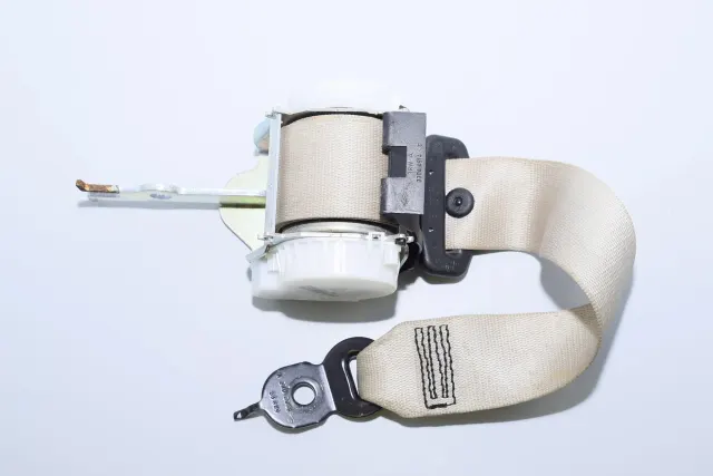 Rear Left Seatbelt