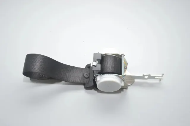 Rear Left Seatbelt