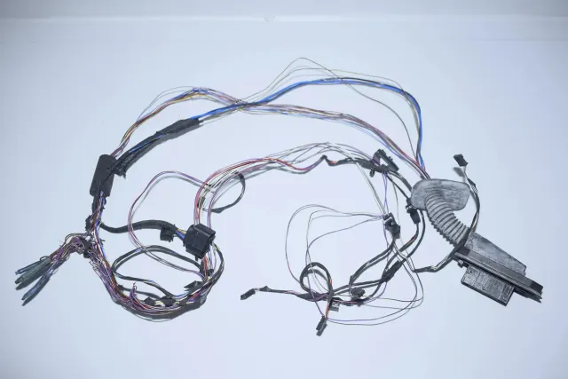 Rear Right Door Wiring
