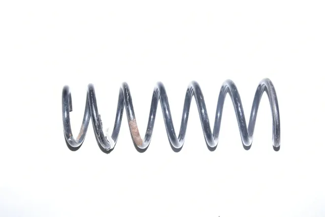 Rear Left Coil Spring