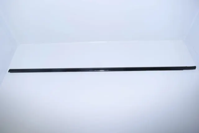 Rear Left Door Window Strip