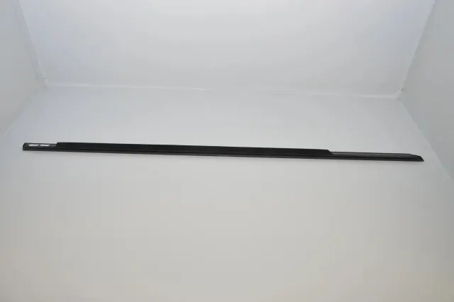 Front Left Door Window Strip