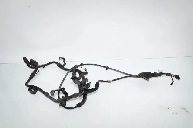 Other Wiring Loom