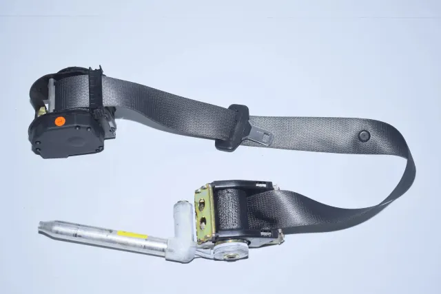 Rear Left Seatbelt