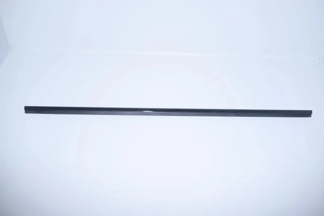 Rear Left Door Window Strip