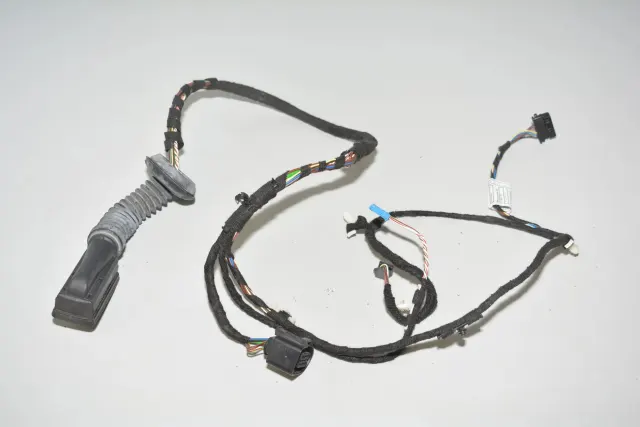 Rear Left Door Wiring