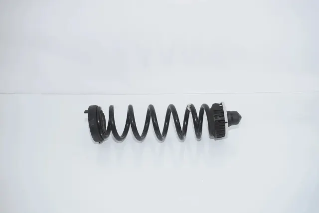 Rear Left Coil Spring