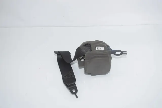Rear Left Seatbelt