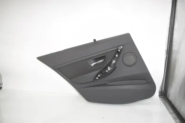 Rear Left Door Panel