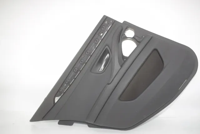 Rear Left Door Panel