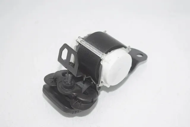 Rear Middle Seatbelt