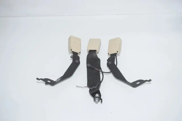 Rear Right Seat Buckle
