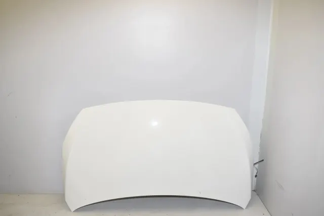 Bonnet Hood