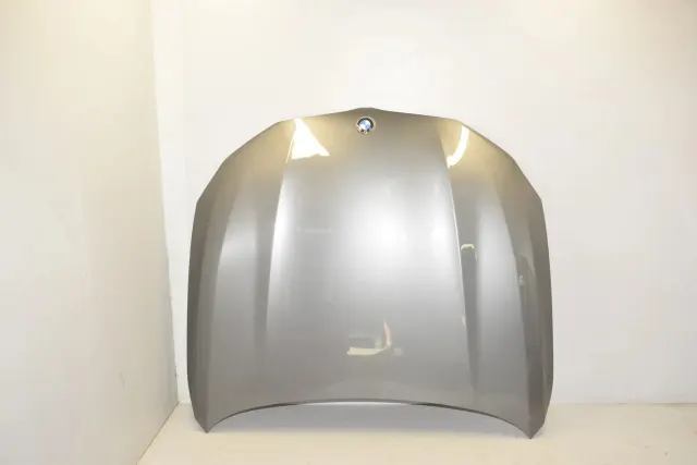 Bonnet Hood