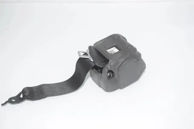 Rear Right Seatbelt