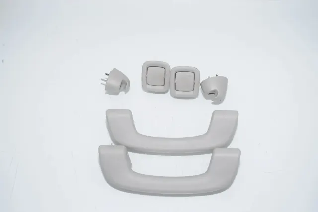 Interior Roof Handle Set