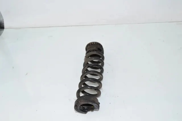 Rear Left Coil Spring