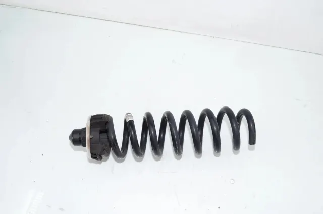 Rear Left Coil Spring