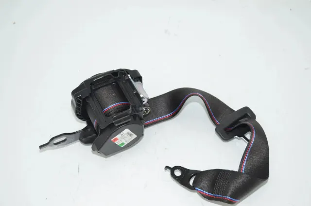Rear Left Seatbelt