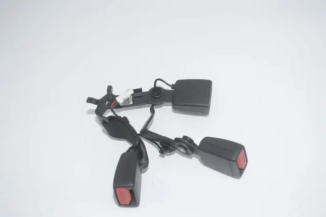 Rear Left Seat Buckle