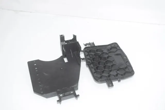 Other Body Parts