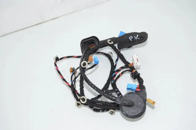Front Left Door Wiring