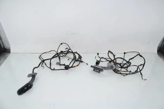 Rear Left Door Wiring