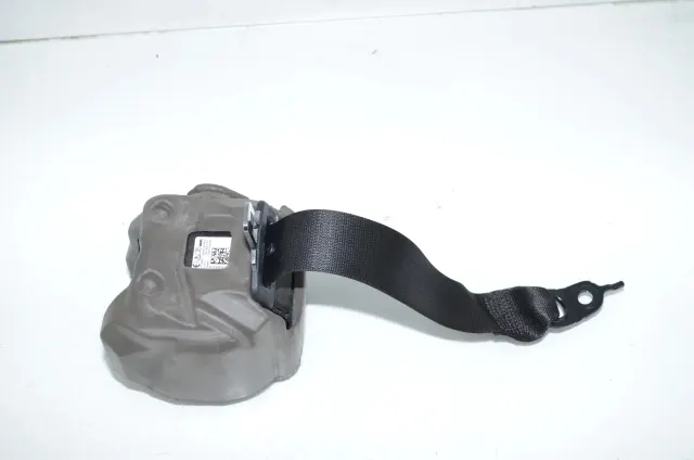 Rear Left Seatbelt