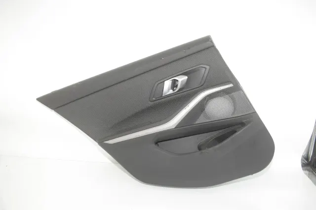 Rear Left Door Panel