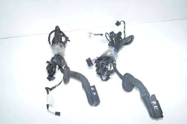 Rear Left Door Wiring