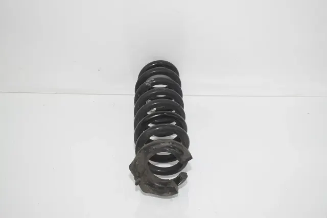 Rear Left Coil Spring