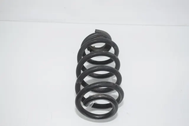 Rear Left Coil Spring