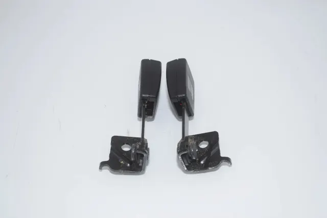 Rear Left Seat Buckle