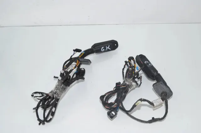 Rear Left Door Wiring