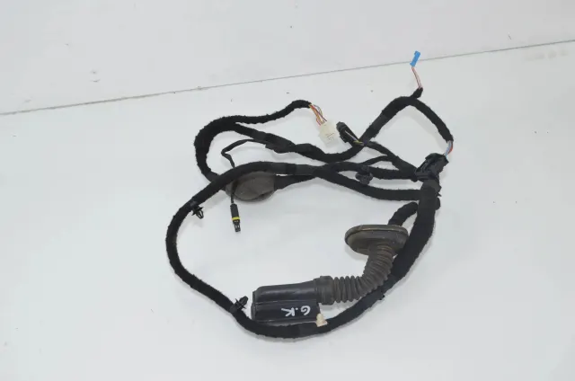 Rear Left Door Wiring