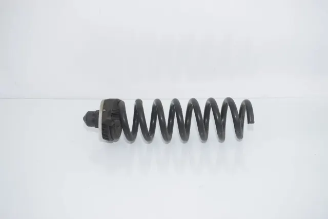 Rear Left Coil Spring