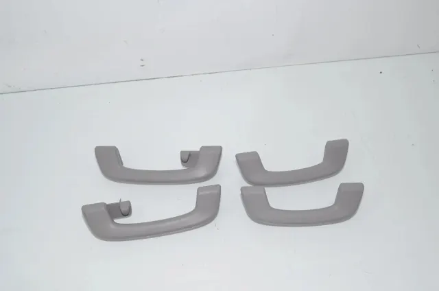 Interior Roof Handle Set