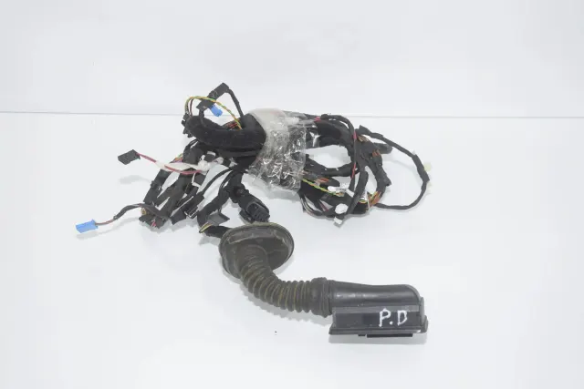 Front Right Door Wiring