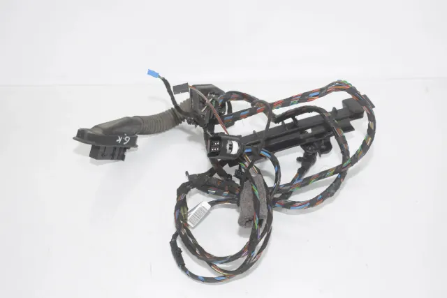 Rear Left Door Wiring