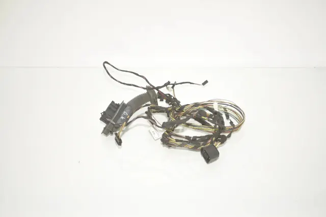 Rear Left Door Wiring
