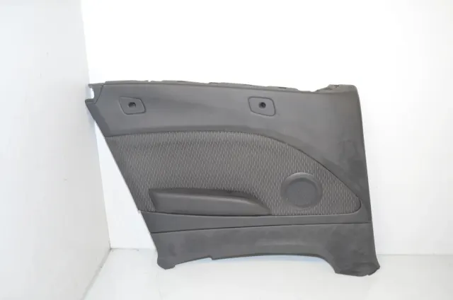 Rear Left Door Panel